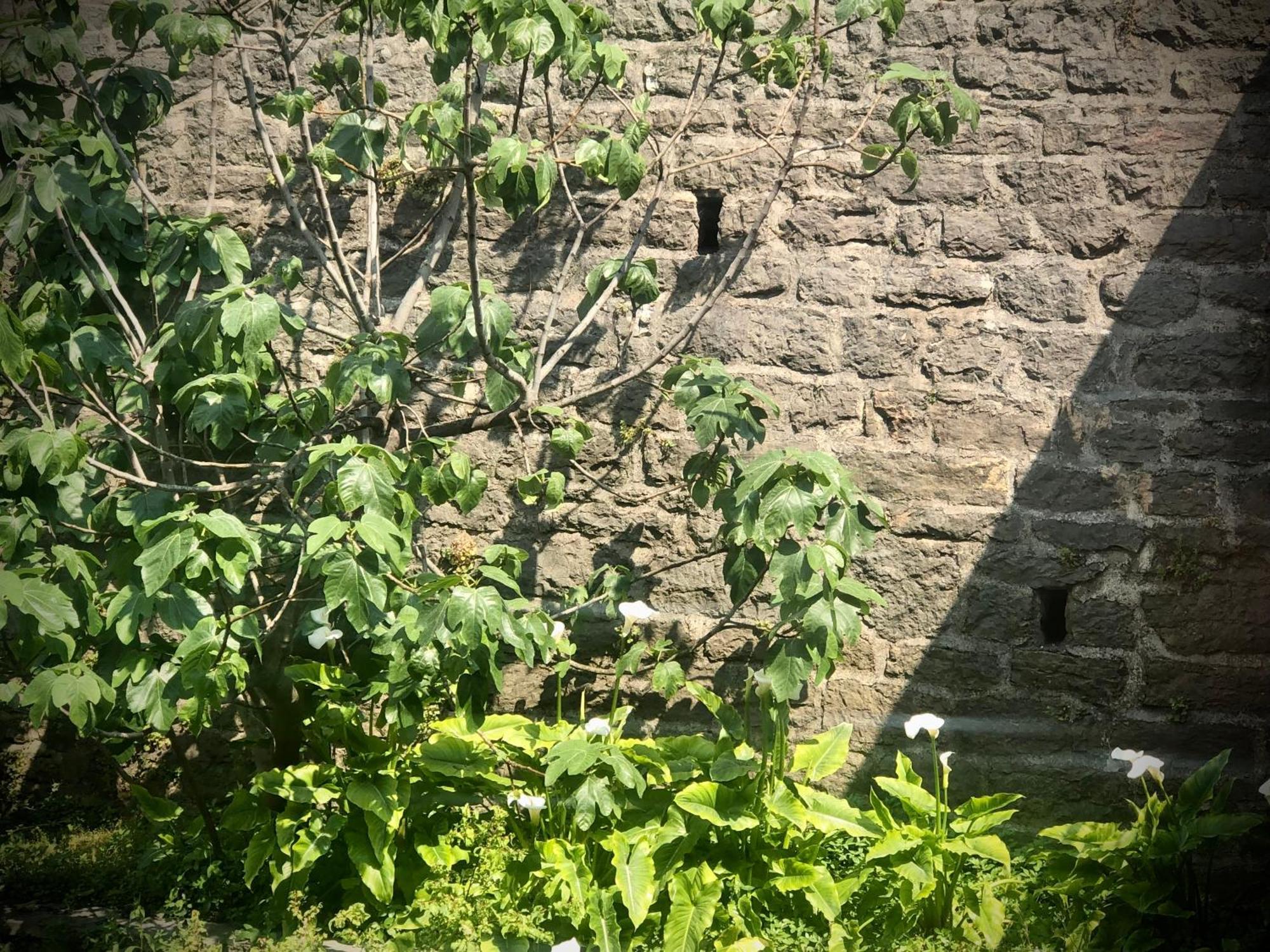 Villa Torre - Atmosfera Romantica Brenzone sul Garda Kültér fotó